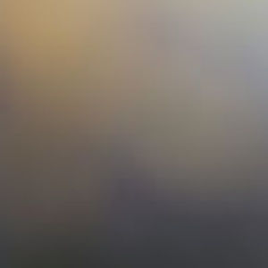 Meet your Posher, Darlene